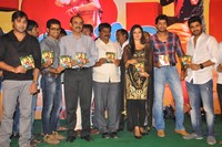 Nuvva Nena Audio Launch
